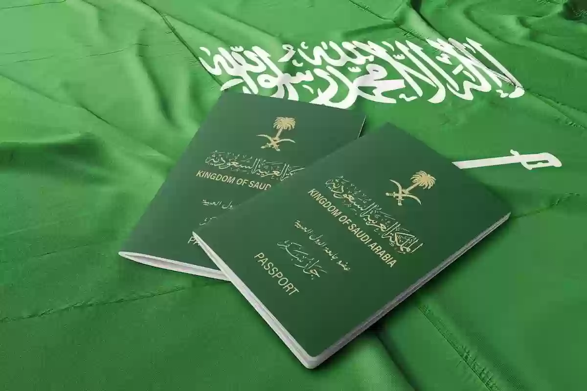 عبر أبشر | خطوات تجديد جواز السفر المصري في المملكة والأوراق المطلوبة