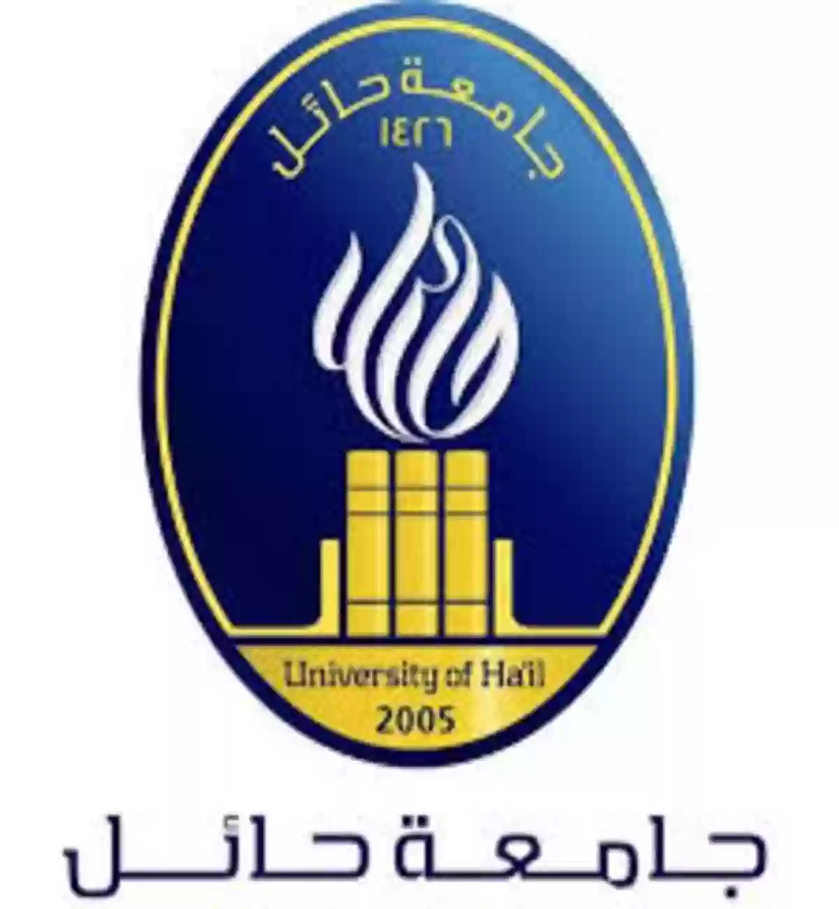 جامعة حائل 