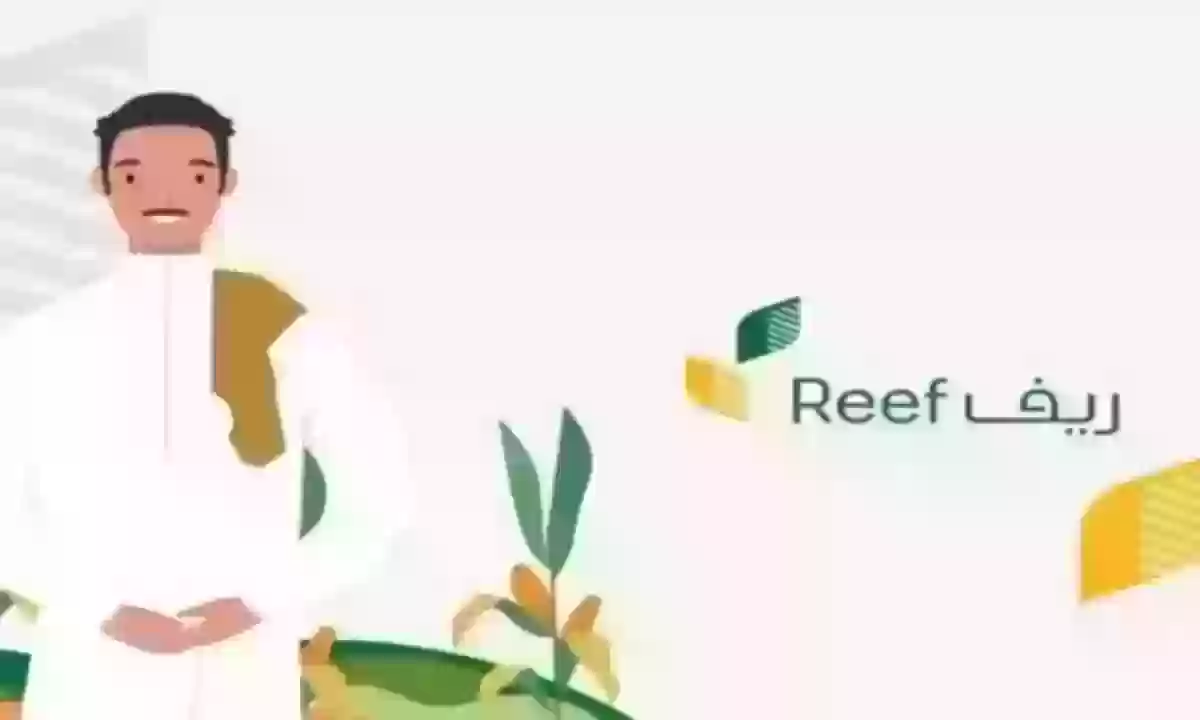 كم تستحق من ريف؟ رابط الحاسبة التقديرية لبرنامج ريف السعودية reef.sa